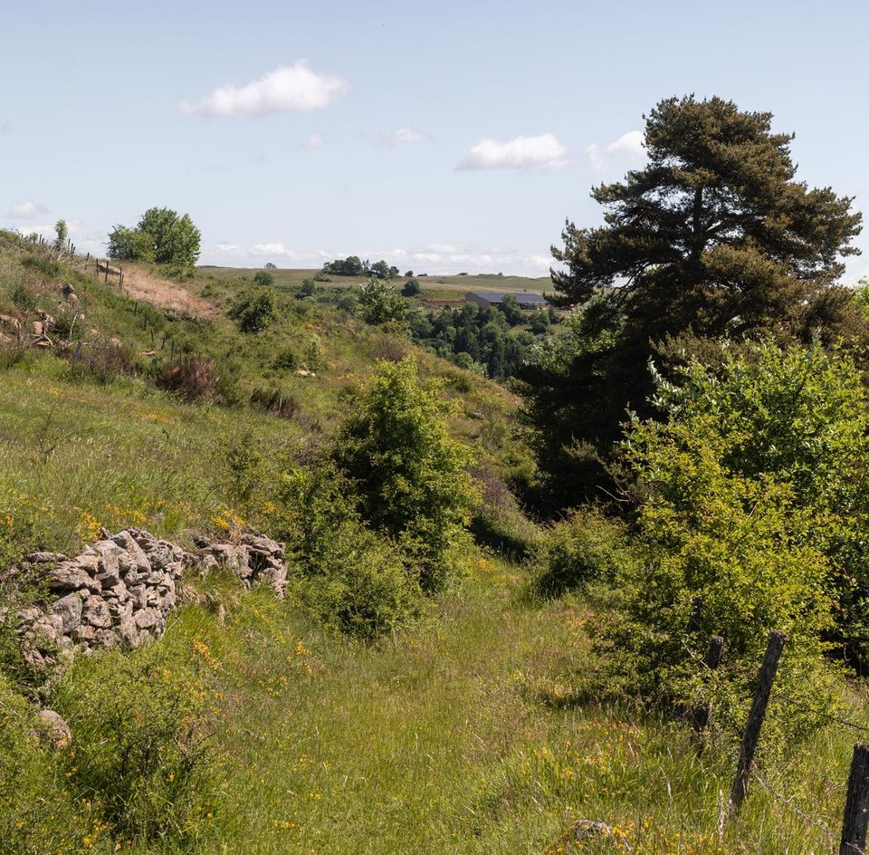 Le vieux chemin