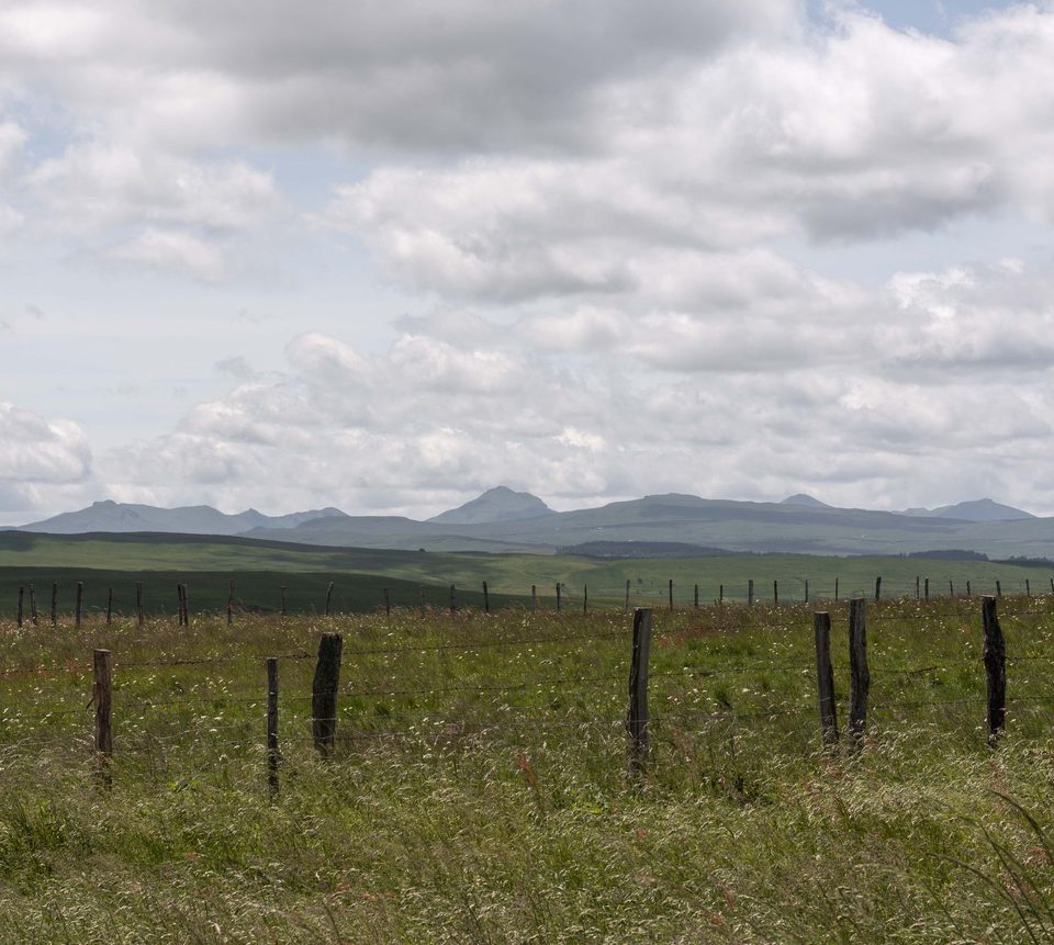 Au Sud du Cézallier : les Monts du Cantal