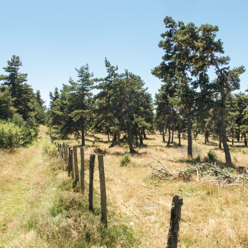 couv_PinatelleSud_1425