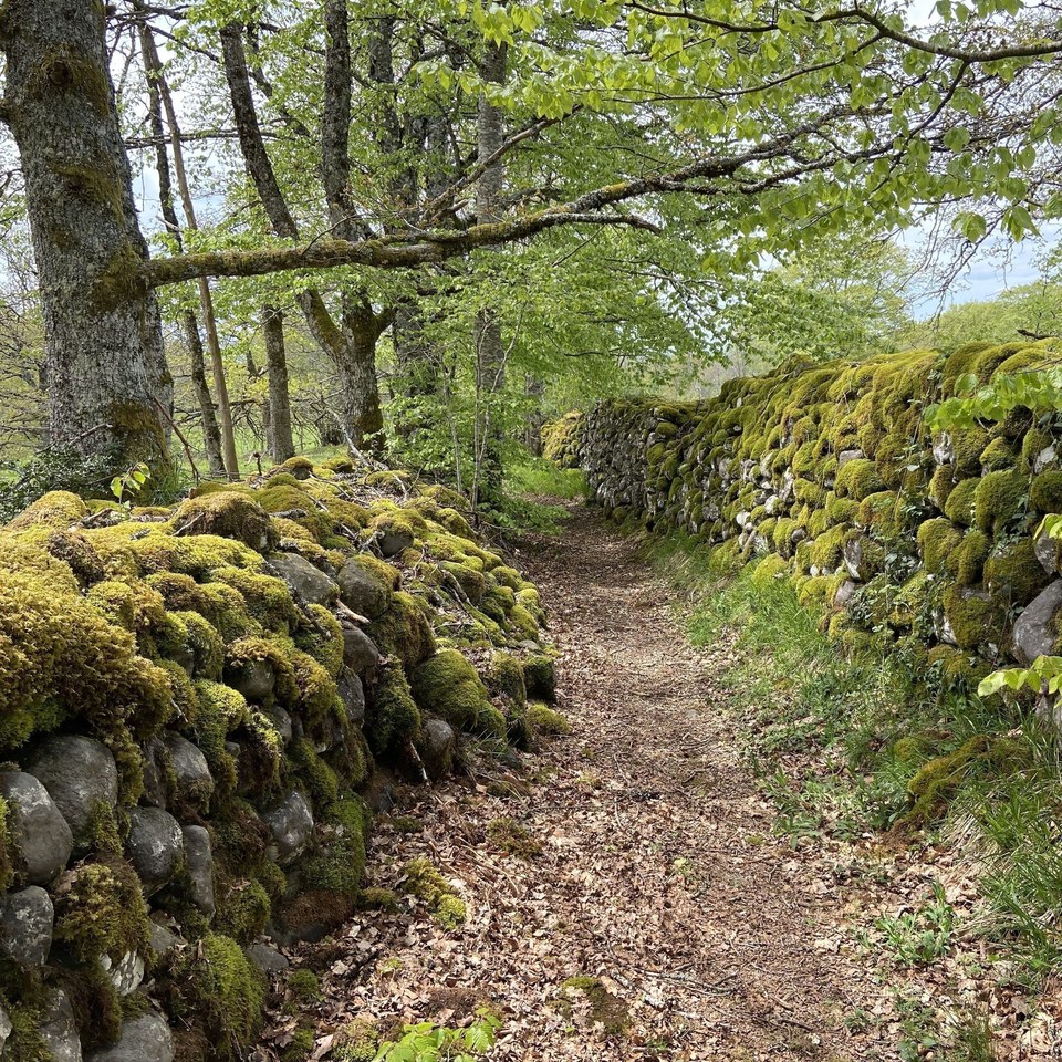 Sentier de la Reine Margot