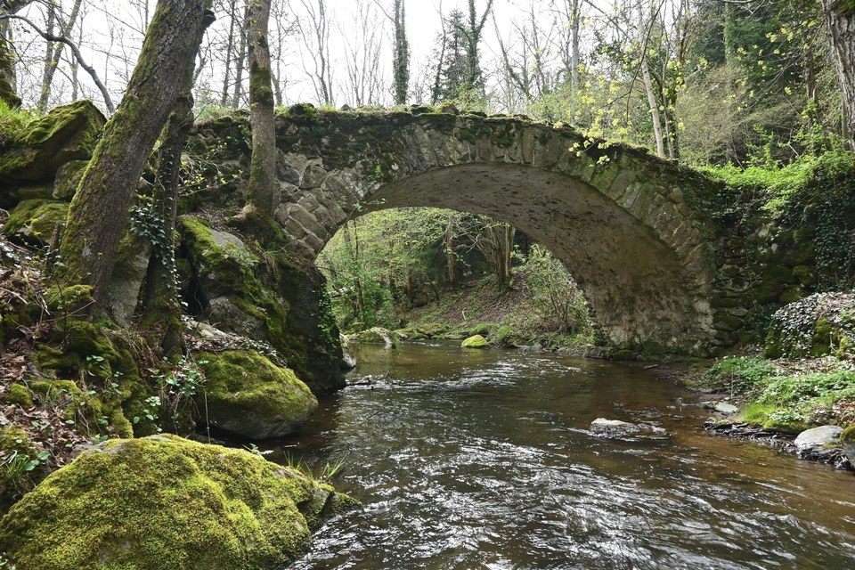 Gorges de la Monne