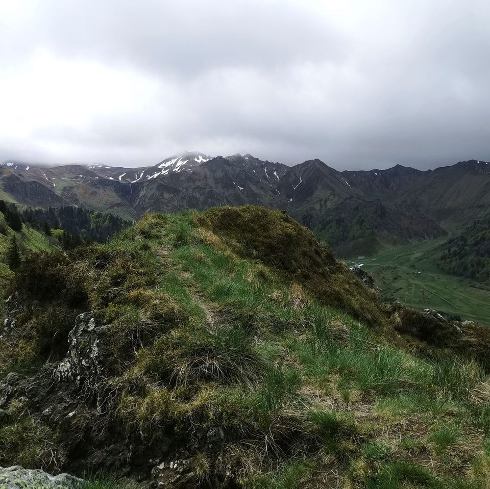 Vue sur le Sancy
