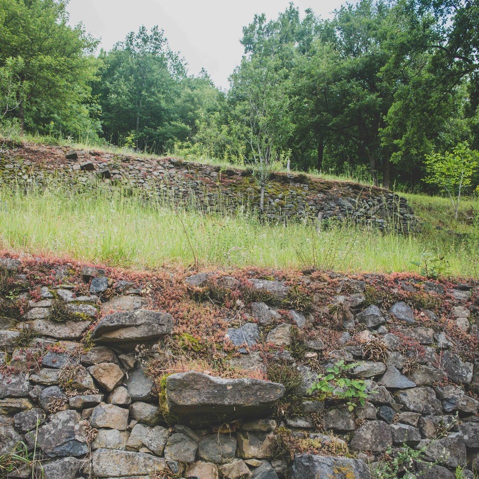 Pailhats de Courgoul