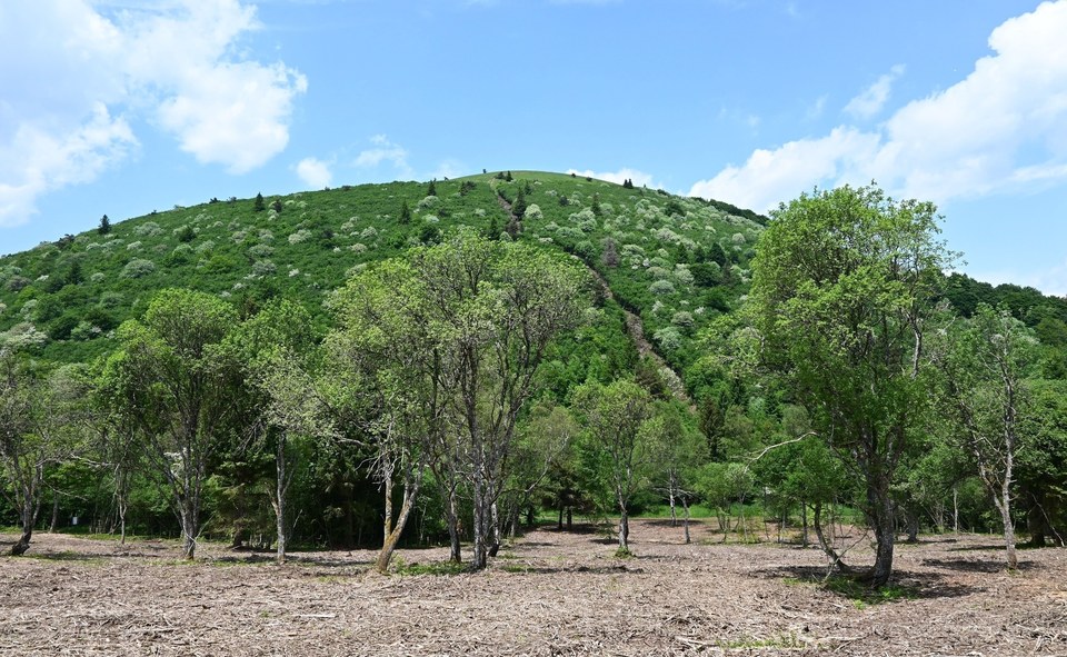 Tour de Côme