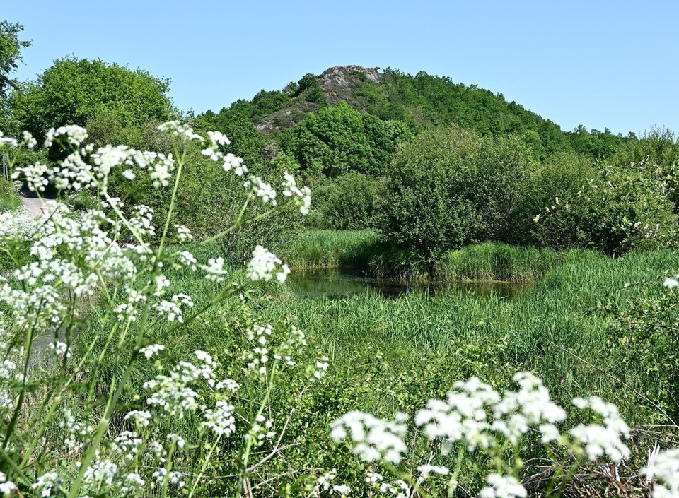 Marais de Paloux