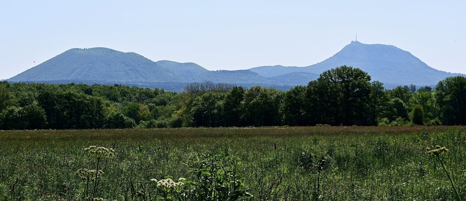 Vue sur la Chaîne des Puys