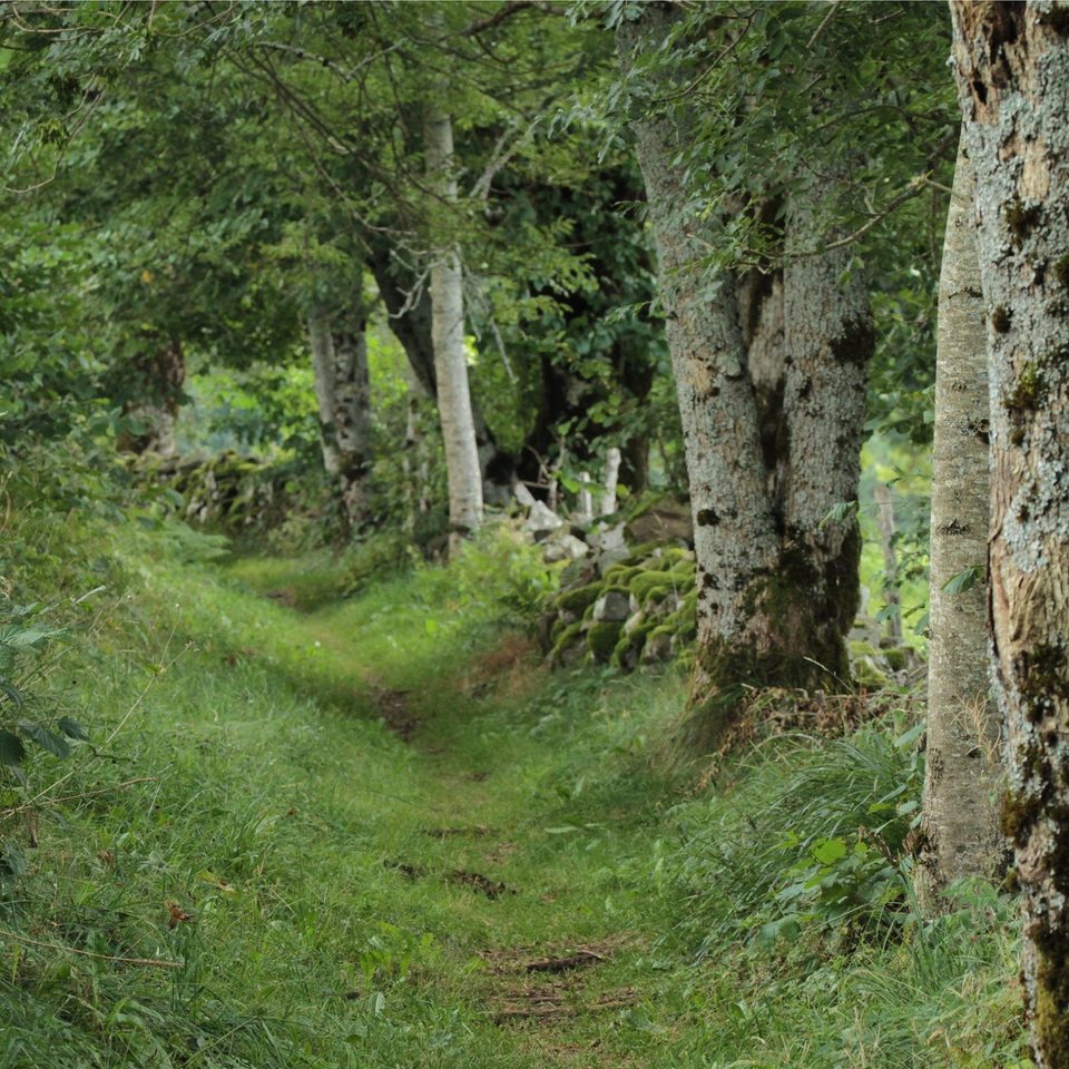 Les hauts de Chastreix