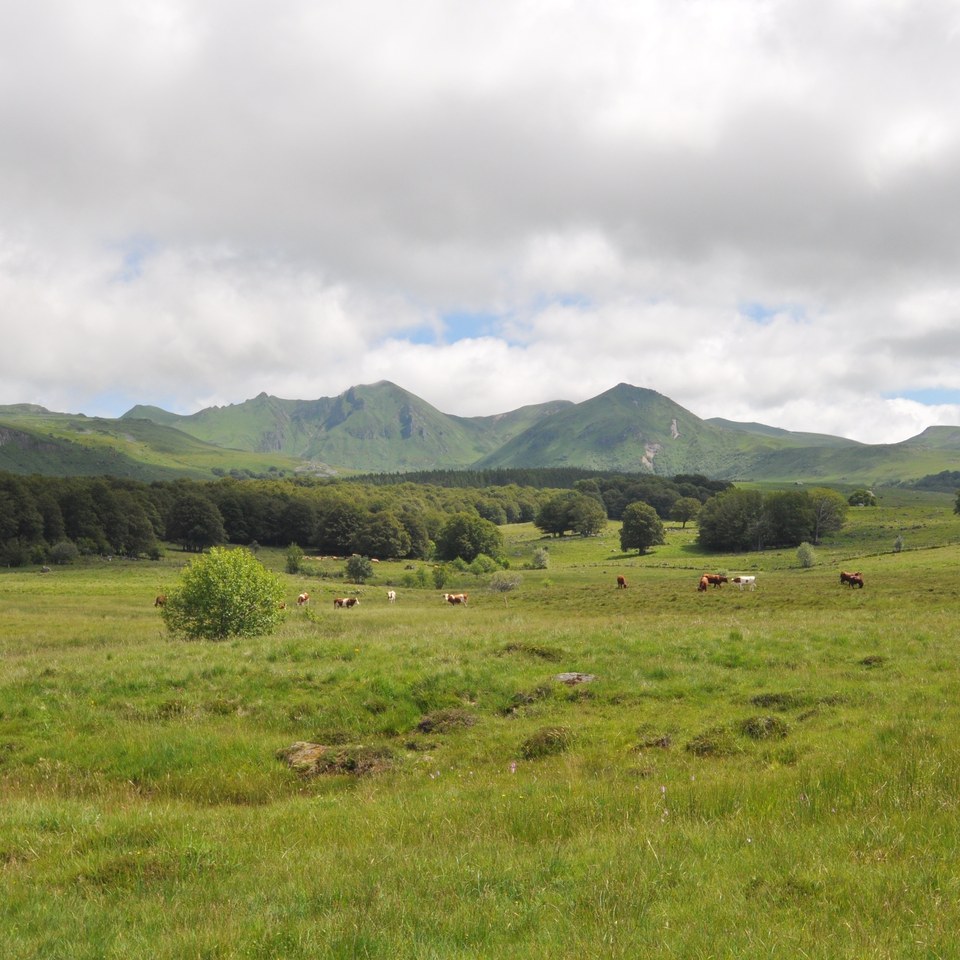 Point de vue sur le massif