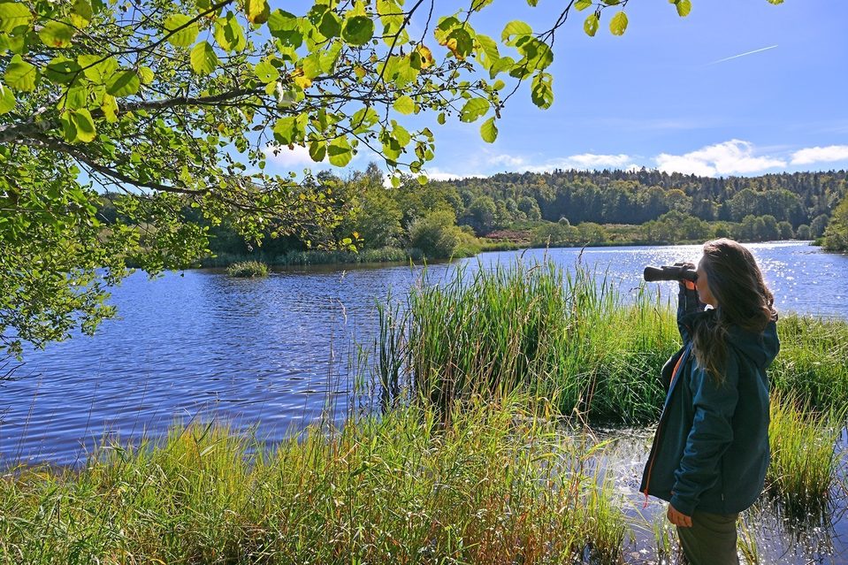 Lac du Tact - Destination Sumène Artense