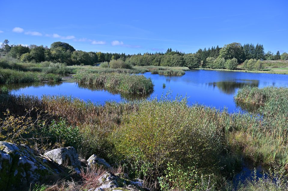 Lac du Tact - Destination Sumène Artense