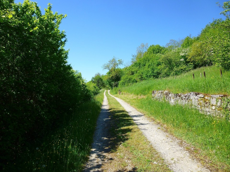 Le panneau d'information sur la géologie du Kirchberg se trouve en contrebas du sentier
