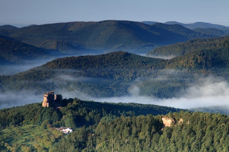 Trésor des Vosges du Nord : De château en château