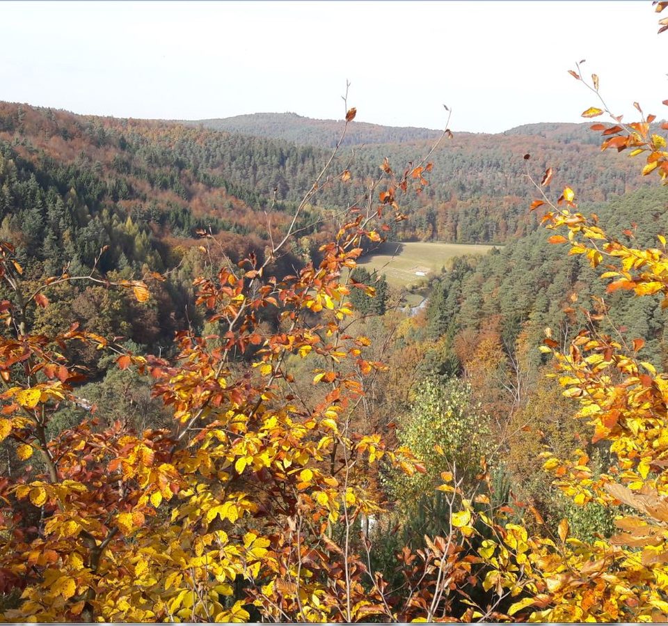 Autour de Sturzelbronn