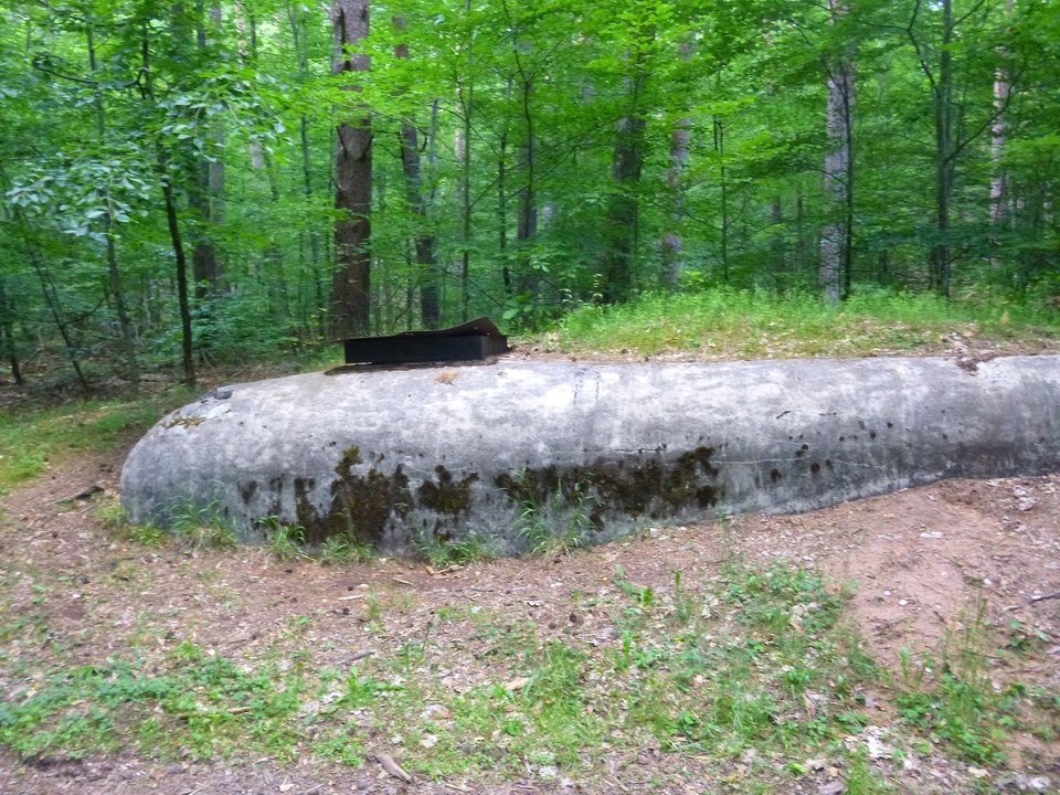 Suivre le balisage du petit circuit de l'étang de Hanau, symbolisé par un anneau vert