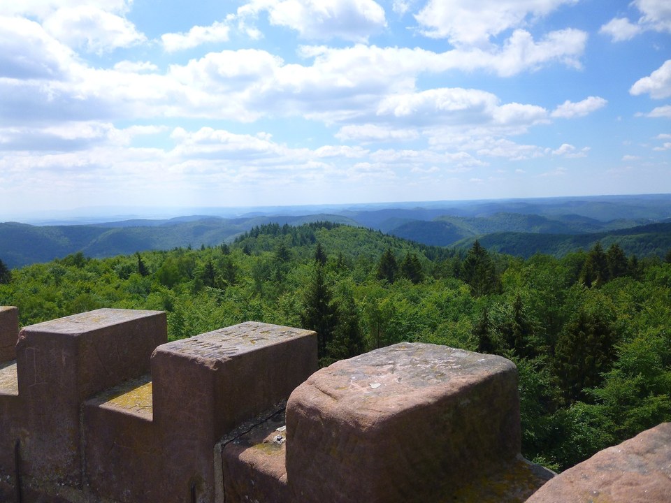Trésor des Vosges du Nord : Ascension du Grand Wintersberg