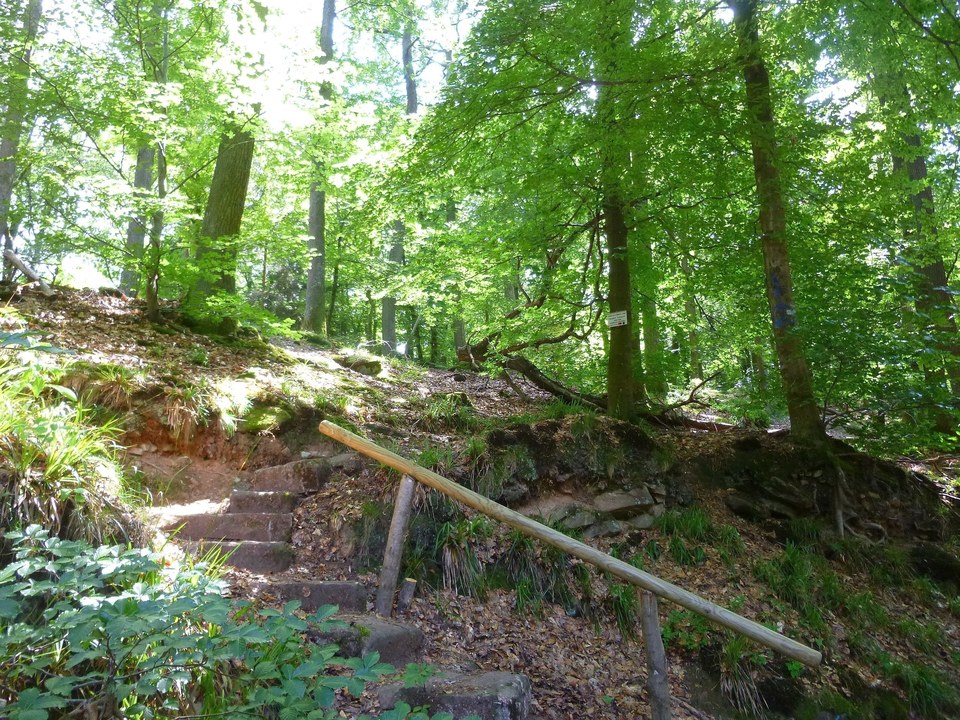 Début de la balade