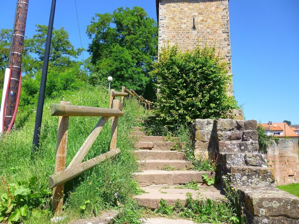Trésor des Vosges du Nord : Circuit viticole sans frontière