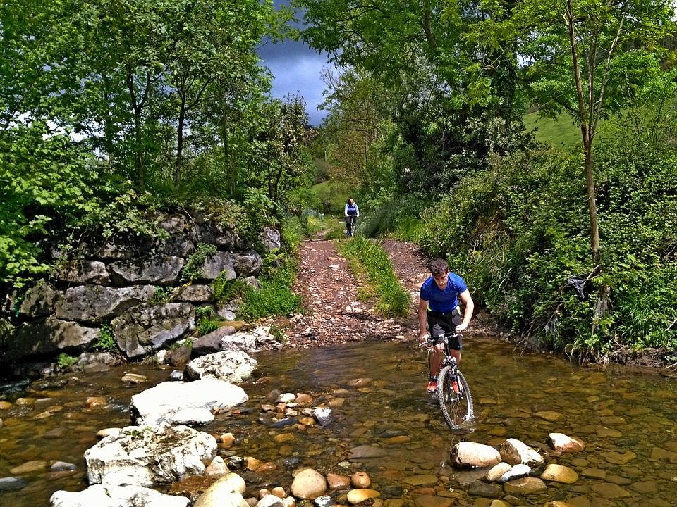 VTT9