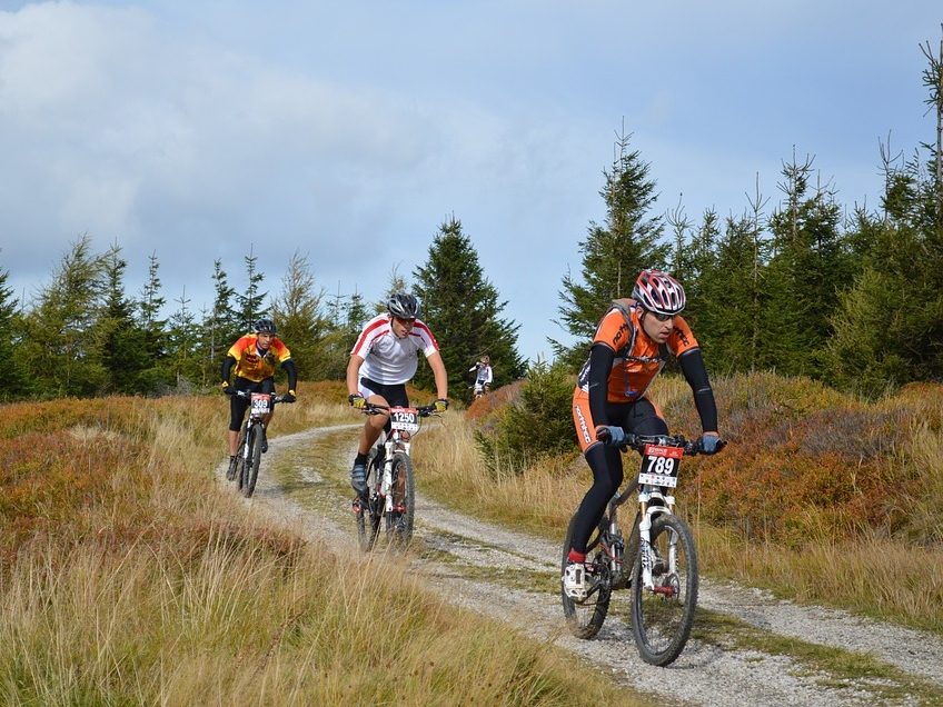 vtt5