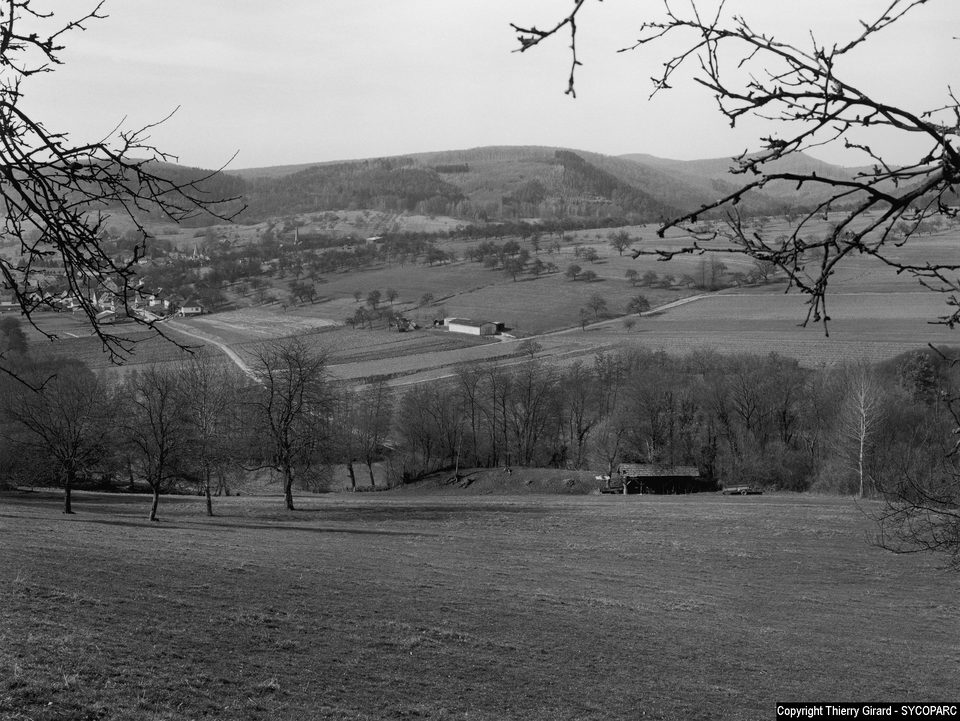 Lembach