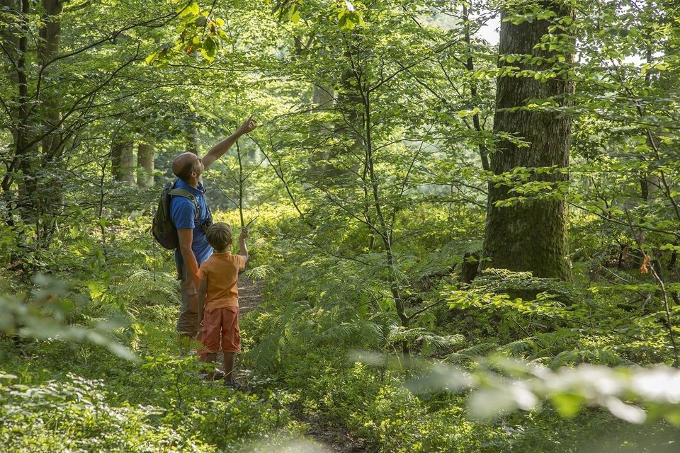 rando foret pere et fils_O2C4494 (c) Y_Meyer 2016