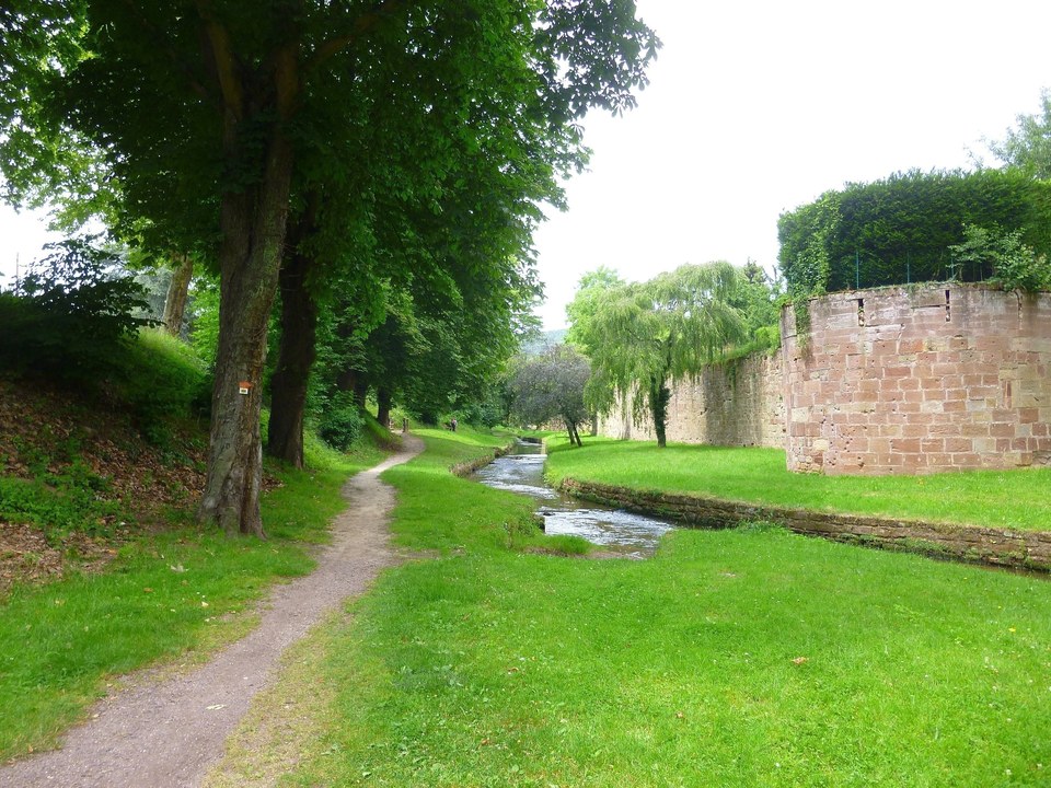 Longer la Lauter sur ce chemin.