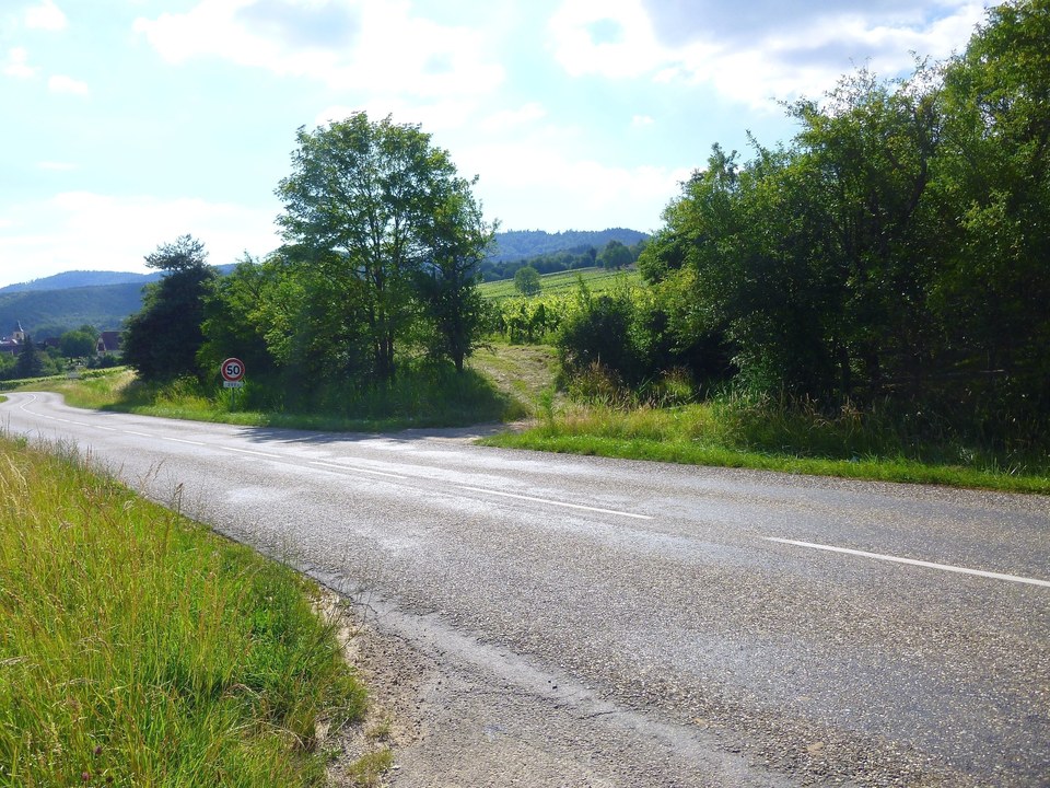 Route au milieu des champs