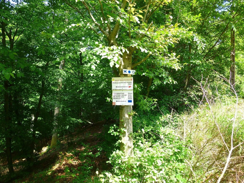 Le début du parcours