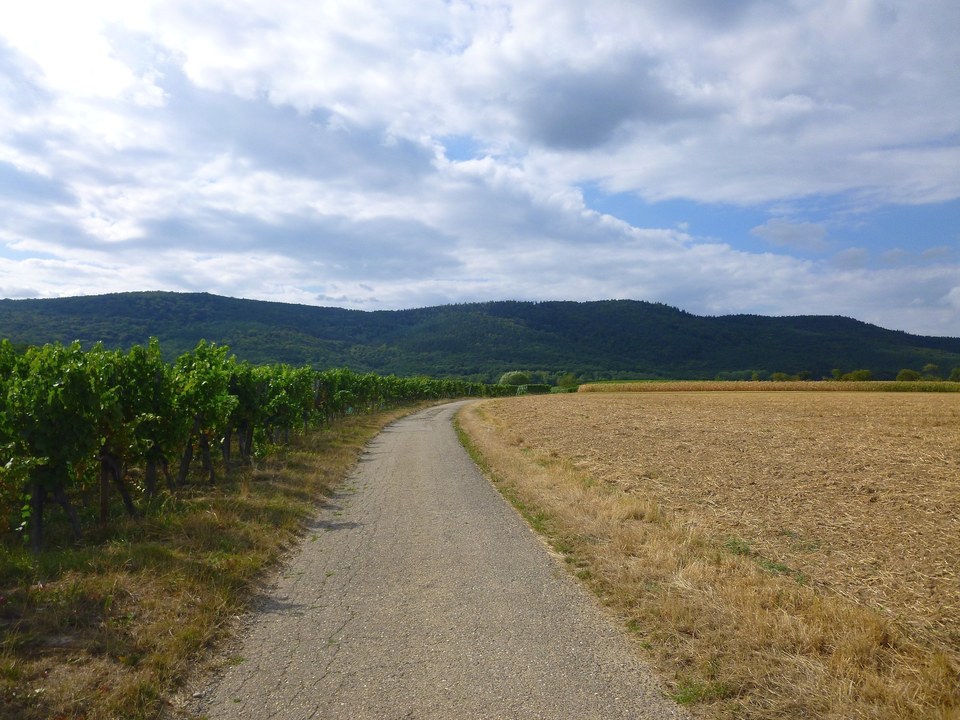 À travers plaine et piémont