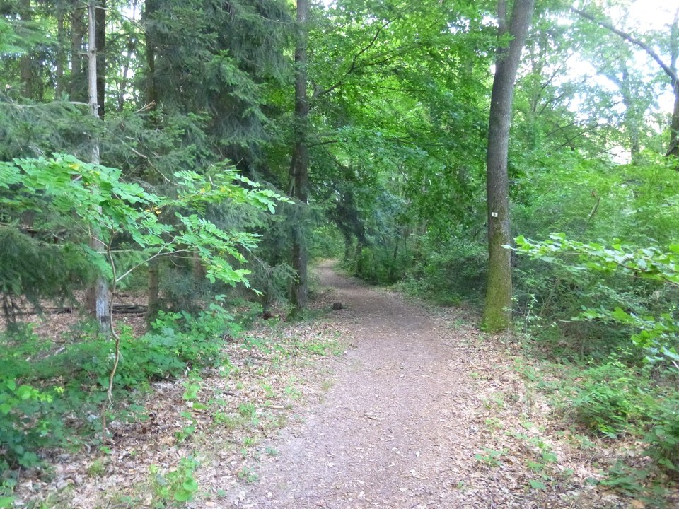 Suivre le panneau "sentier viticole"