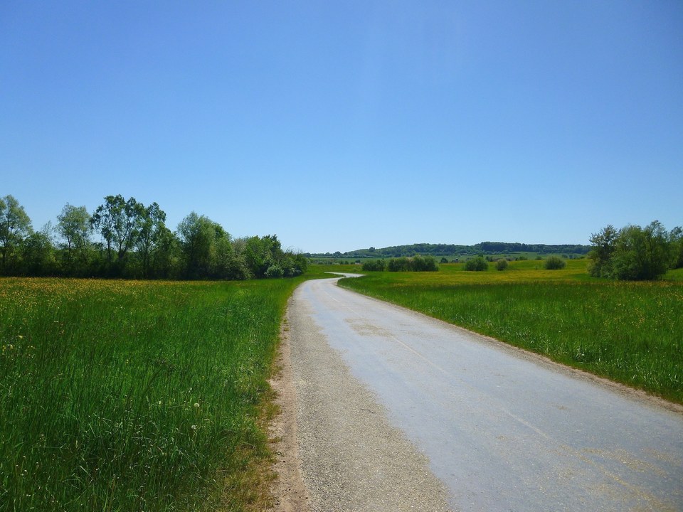 Vers Thal-Drulingen