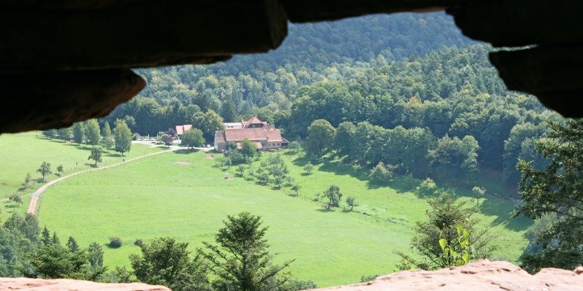 Gimbelhof