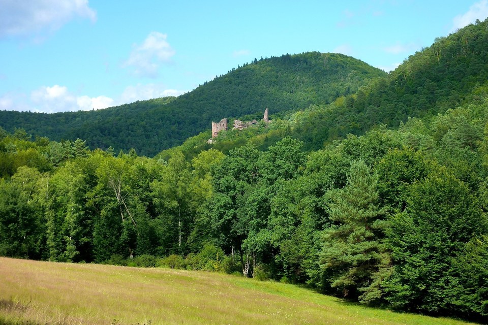 Tour de l'amitié