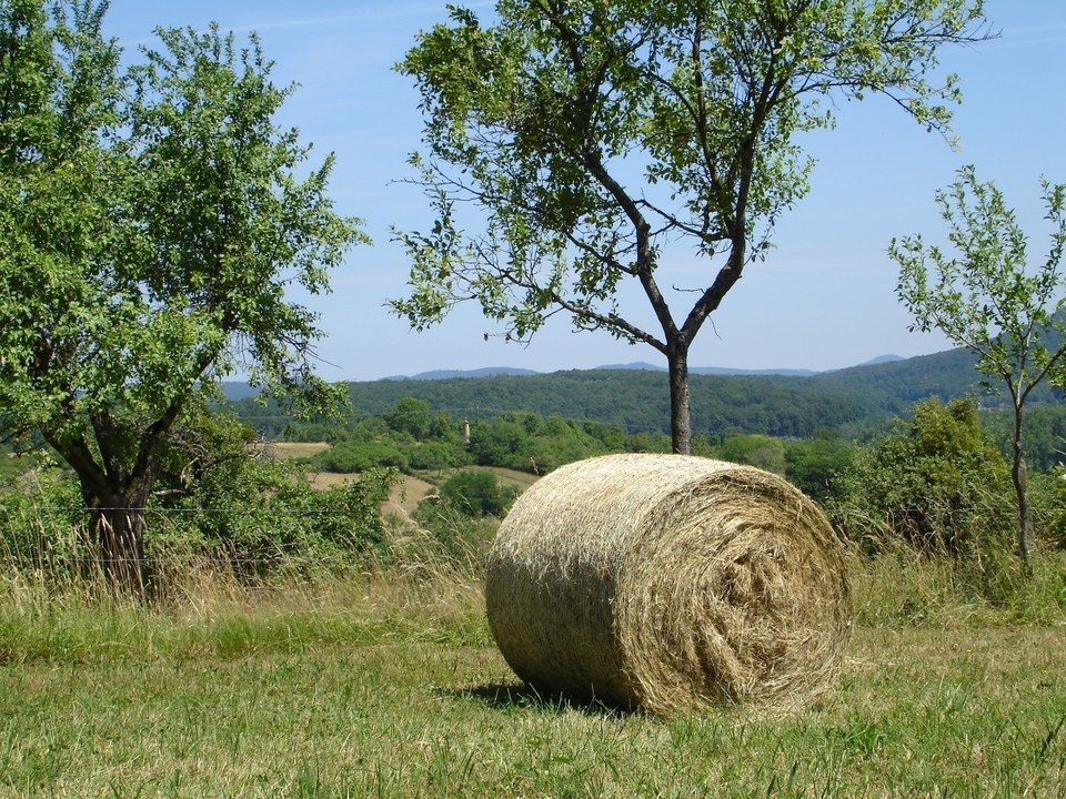 Route des vergers et du souvenir