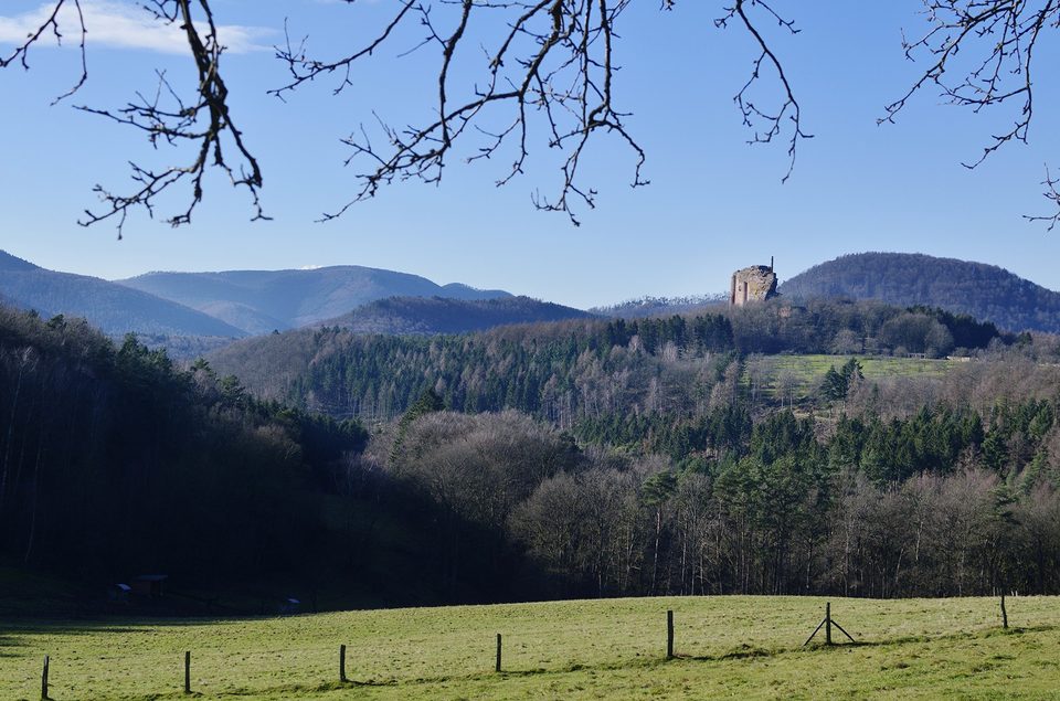 Gimbelhof_Fleckenstein