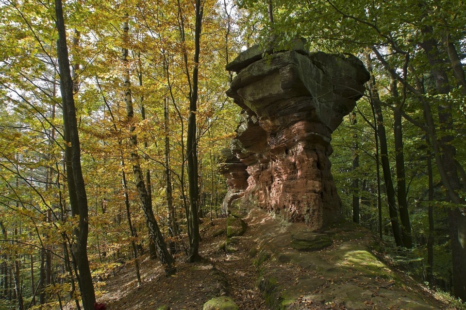 De Châteaux en rochers autour d'Obersteinbach