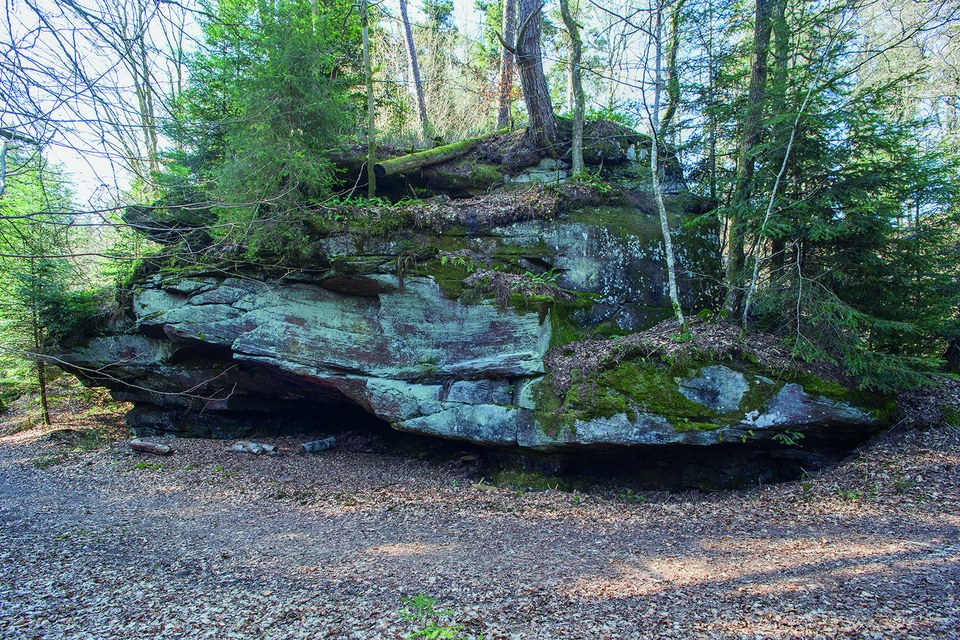 Meisenbach