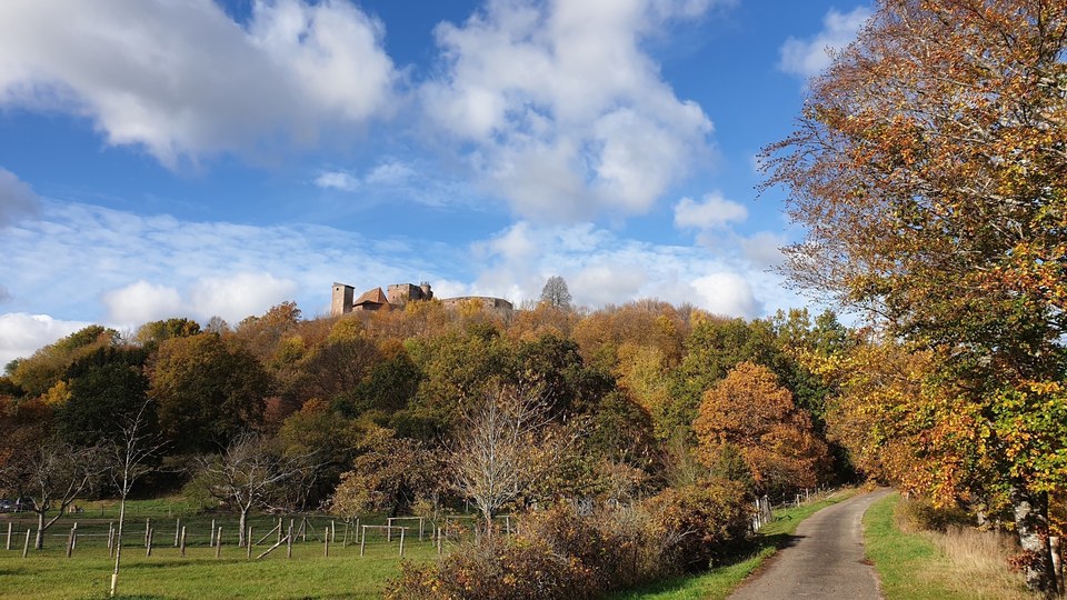 Sentier des châtaigniers