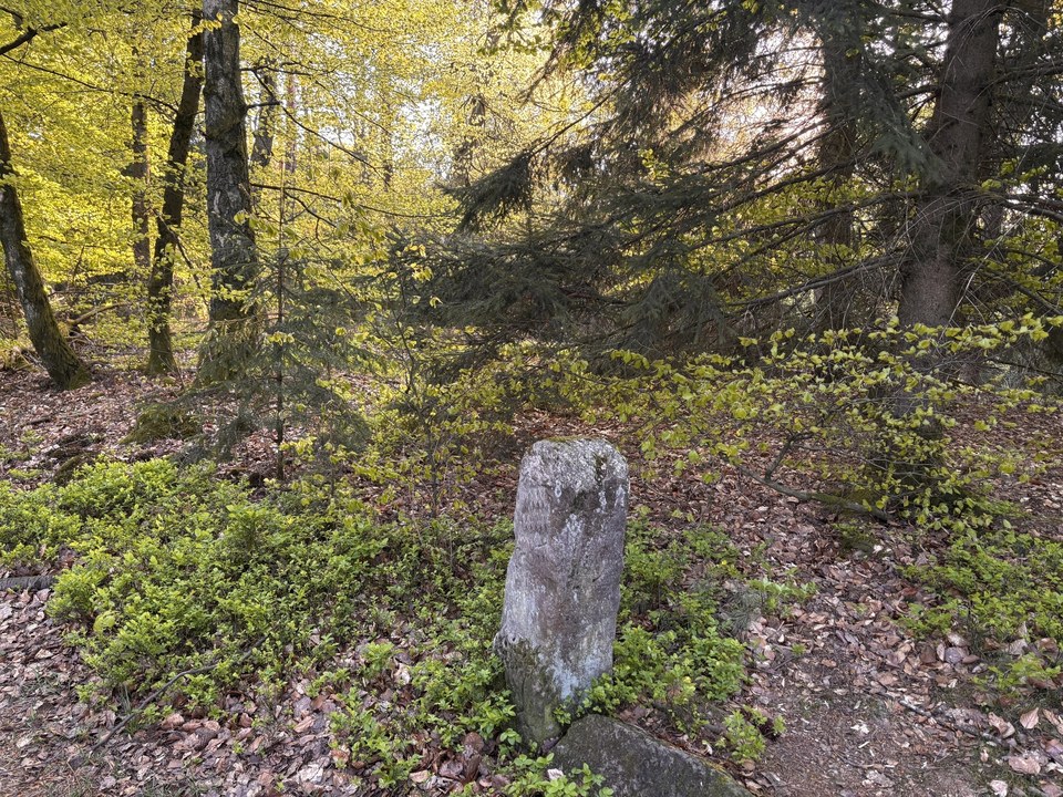 Borne historique au Col du Stiefelsberg