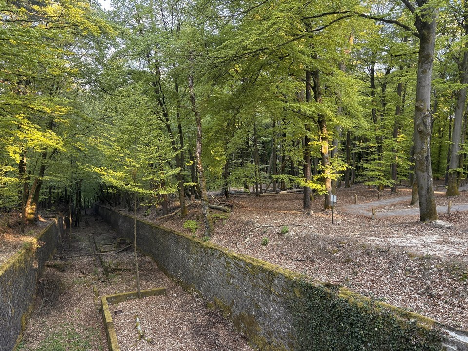 Fossé antichar de la Ligne Maginot