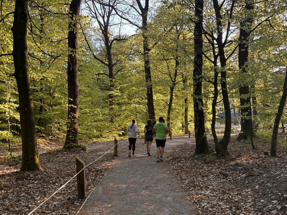 Promenade du Hochwald