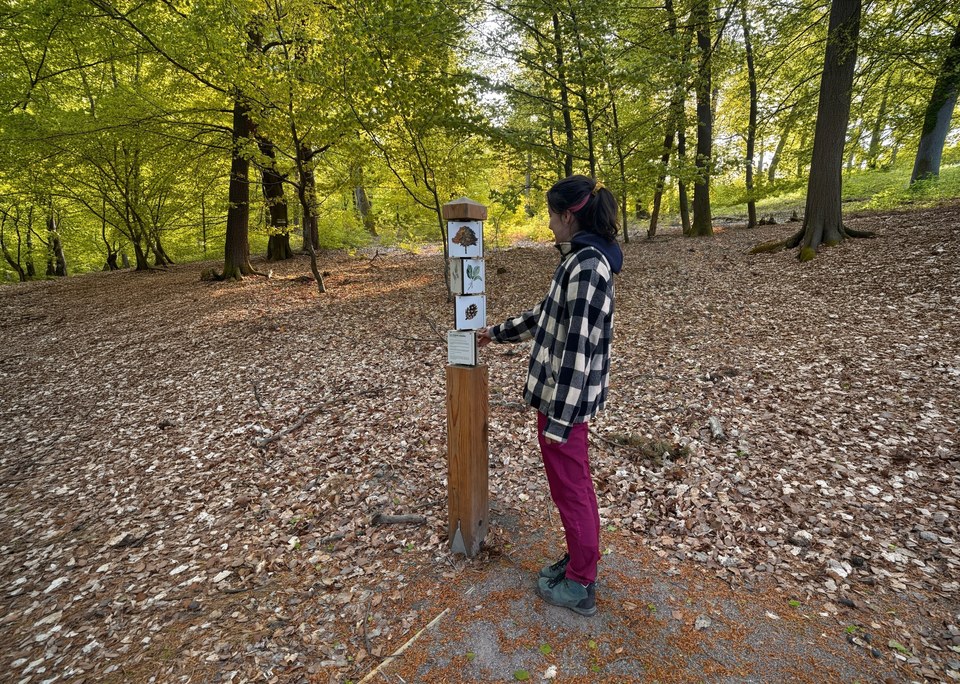 Parcours pédagogique du Hochwald