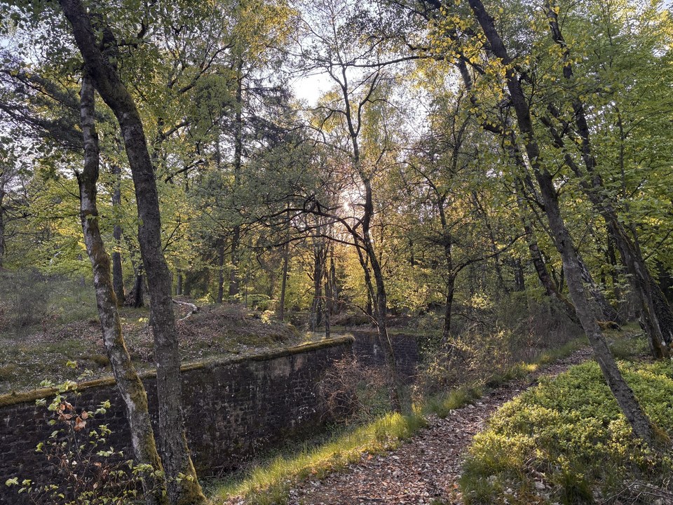Fossé antichar