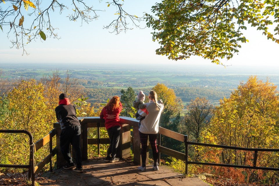 De Lobsann au panorama du Soultzerkopf