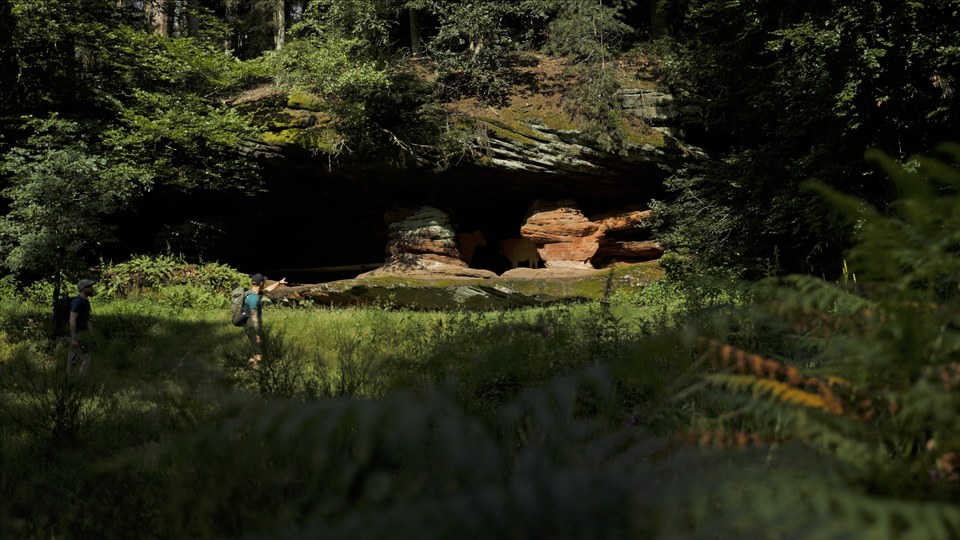 Boucle itinérante par le sommet de l'Englishberg et le rocher de l'Ochsenstall