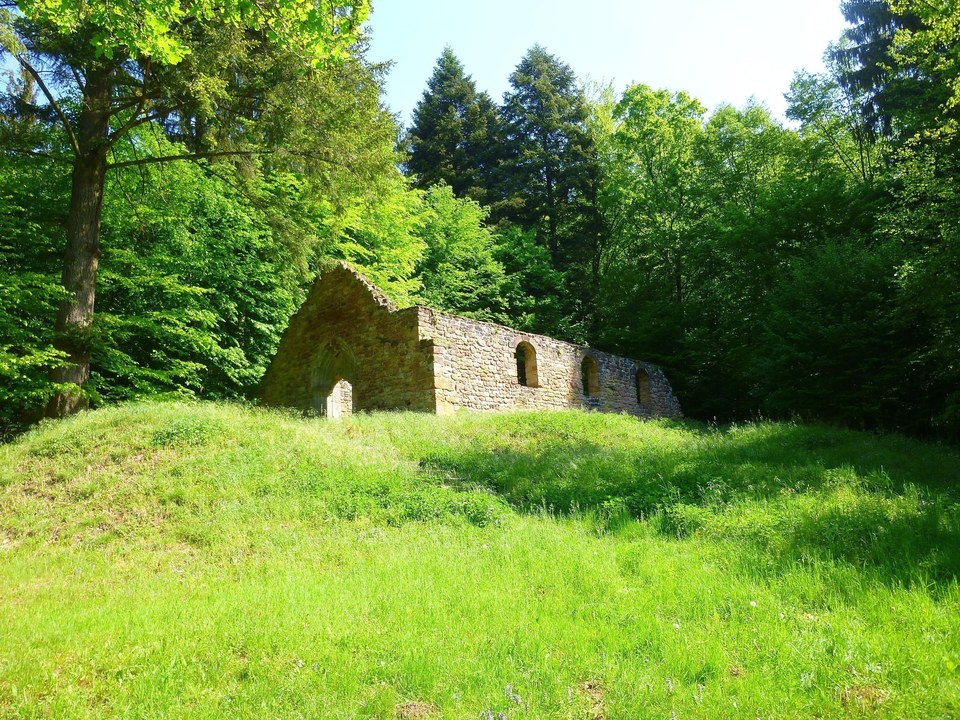 Trésor des Vosges du Nord : Les cascades de la Heidenkirche