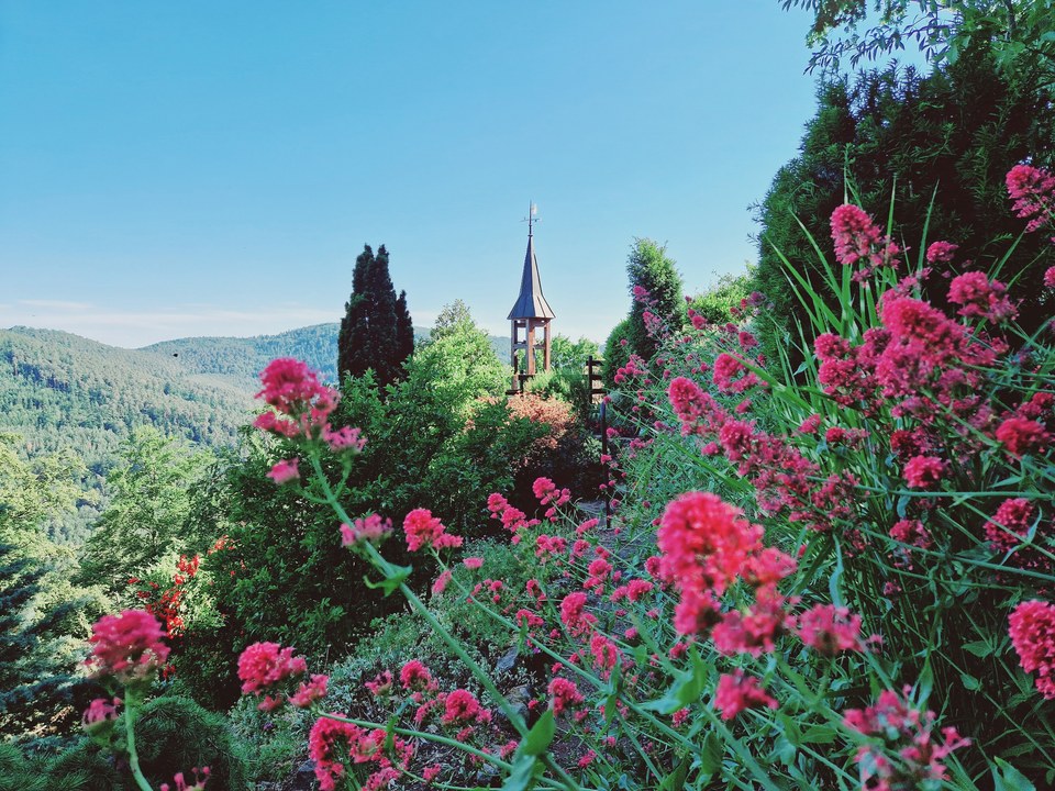 Jardin alpestre de la Grotte Saint-Vit - Saverne