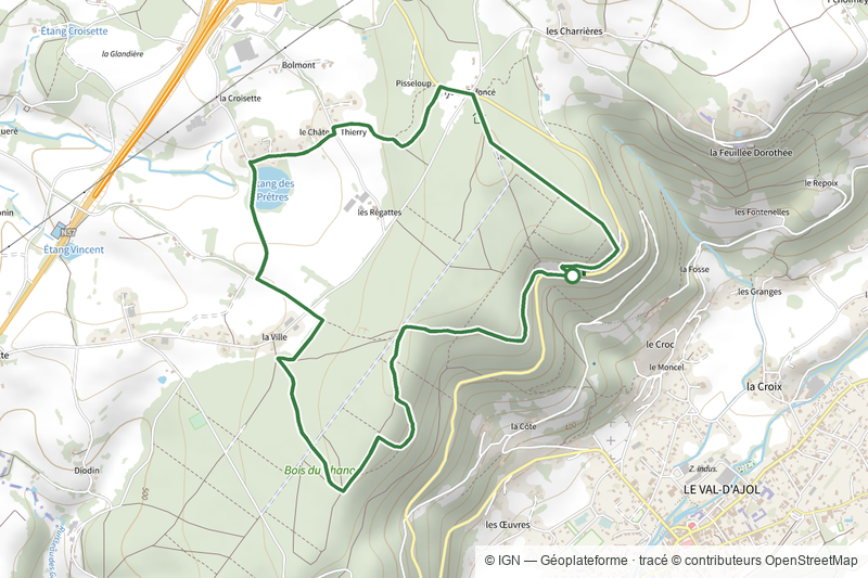 La forêt du Chanot