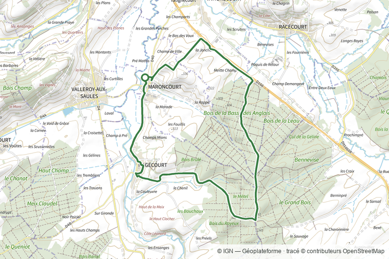 Circuit entre Madon et forêt