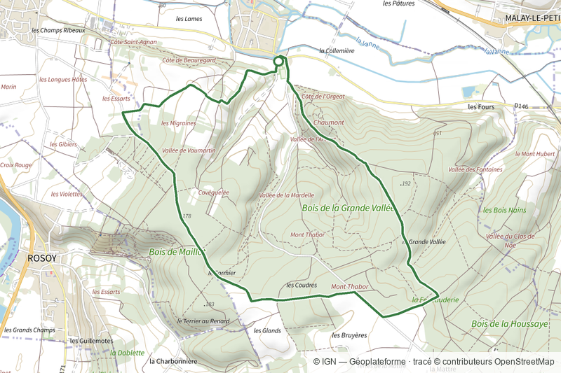 Balade au Cœur du Bois de la Grande Vallée